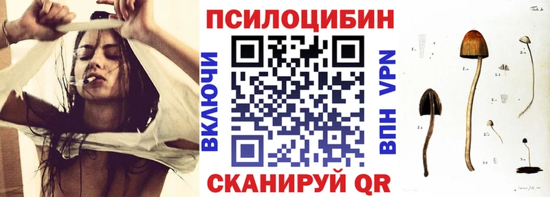 купить закладку  blacksprut ссылки  Галлюциногенные грибы GOLDEN TEACHER  Мыски 